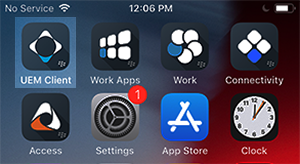 Image of UEM Client on device home page