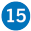 Step 15