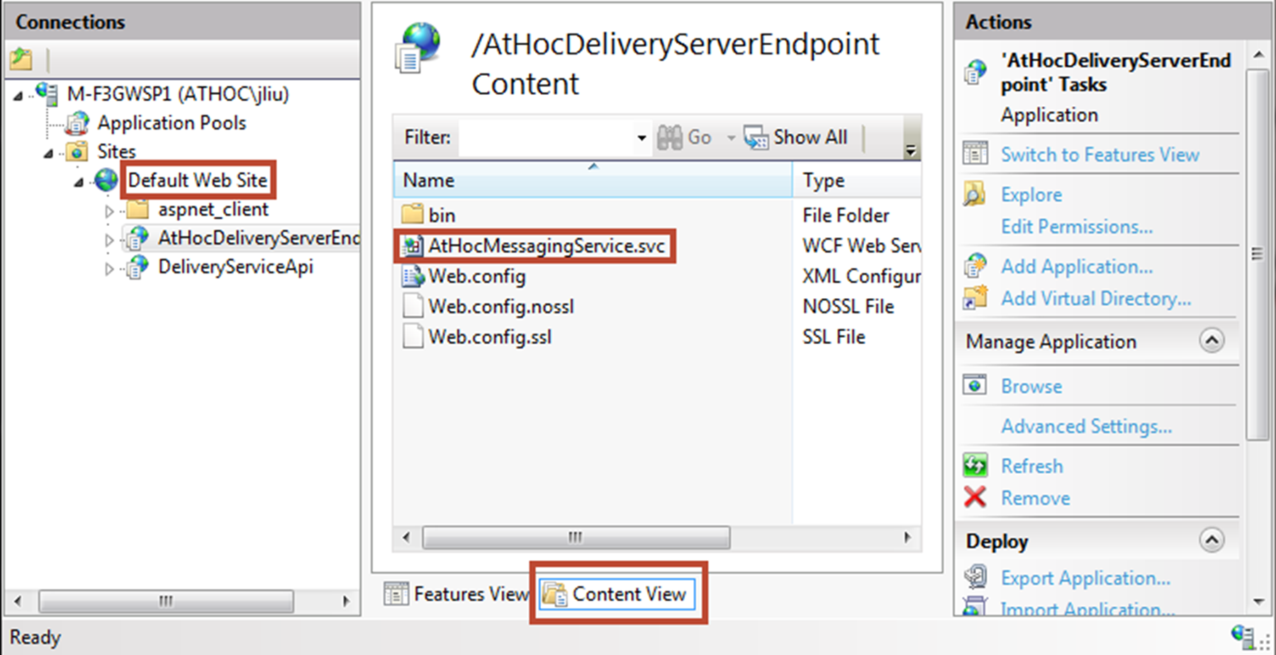 The AtHoc Delivery Server Endpoint in the Connections window