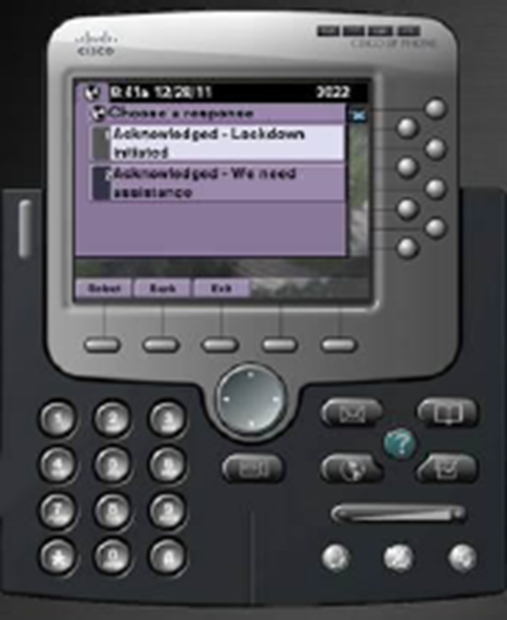 Cisco IP Phone alert with response options