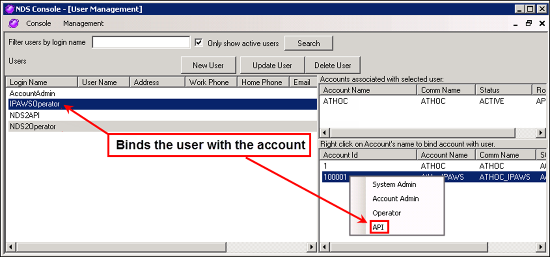 The NDS Console showing a user associated with an account